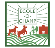 Ecole O Champ